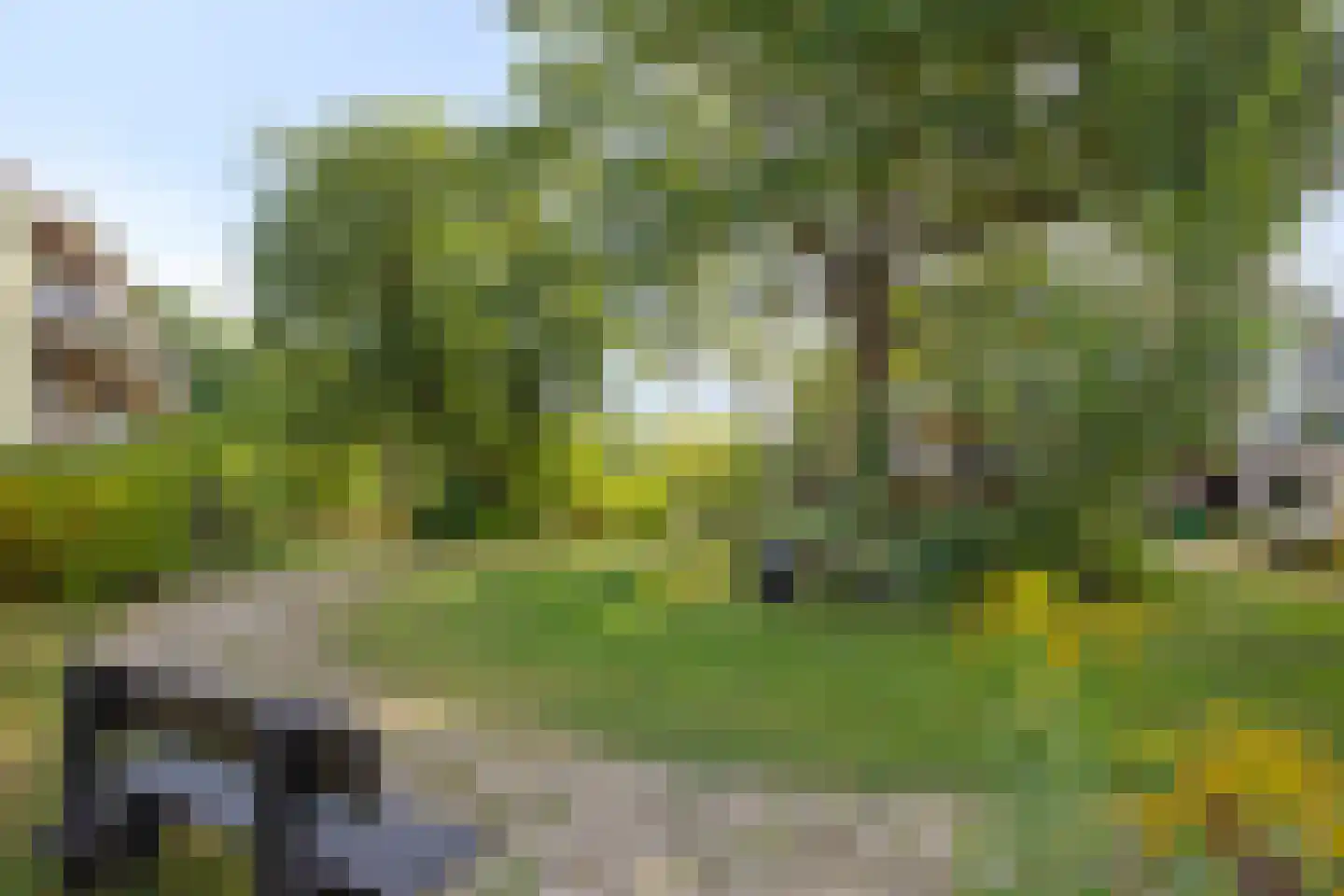 Nieuw-Schoonoord 351 Velp thumbnail 47