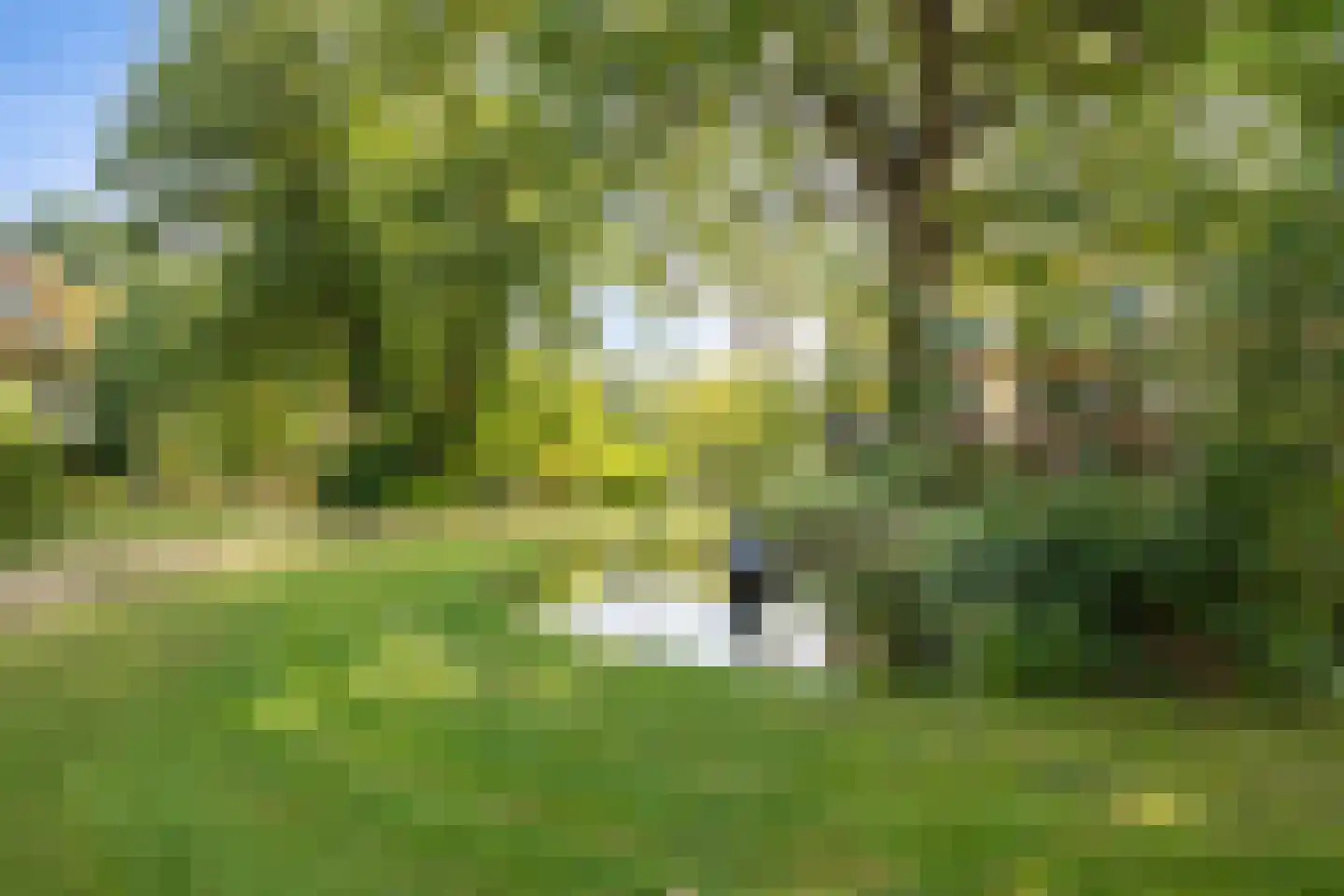 Nieuw-Schoonoord 351 Velp thumbnail 48