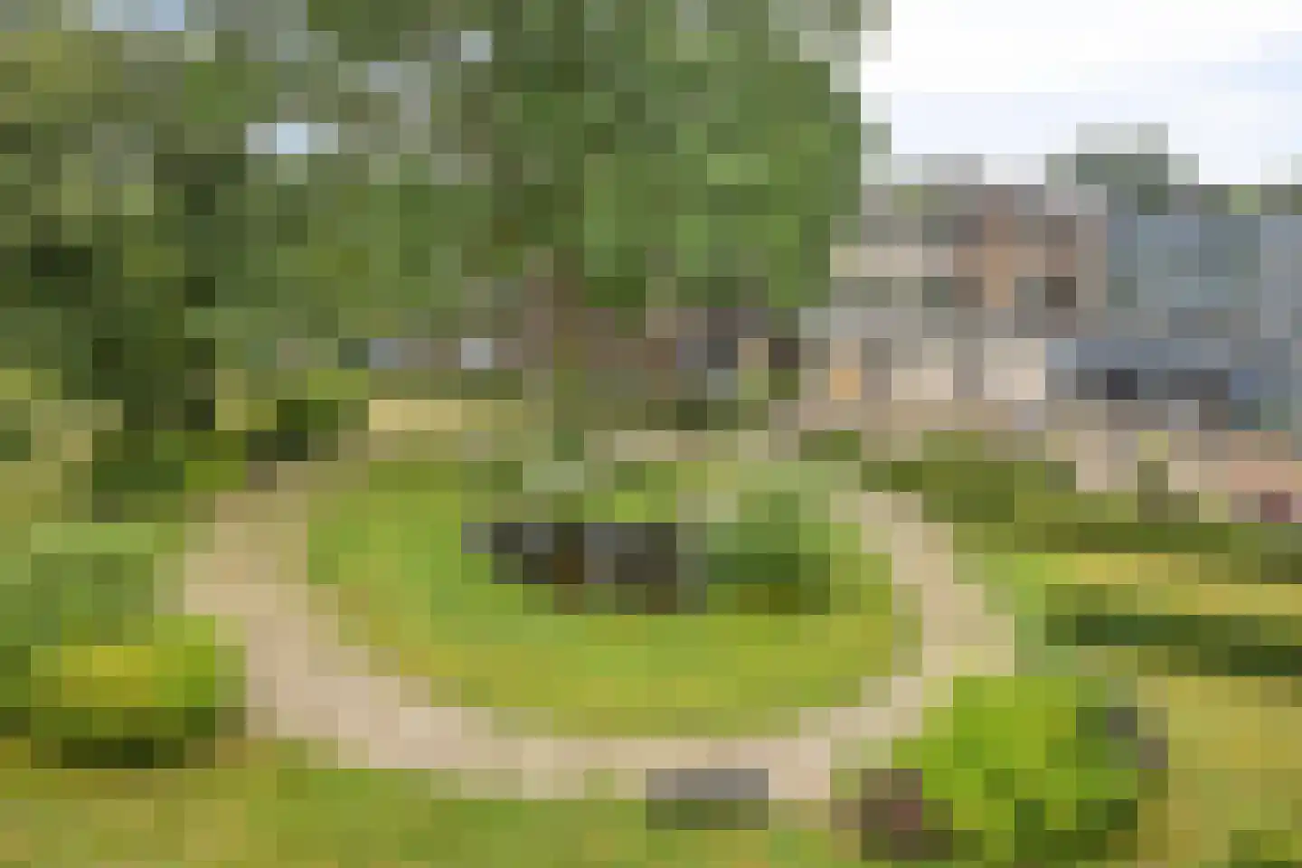 Nieuw-Schoonoord 362 Velp thumbnail 29