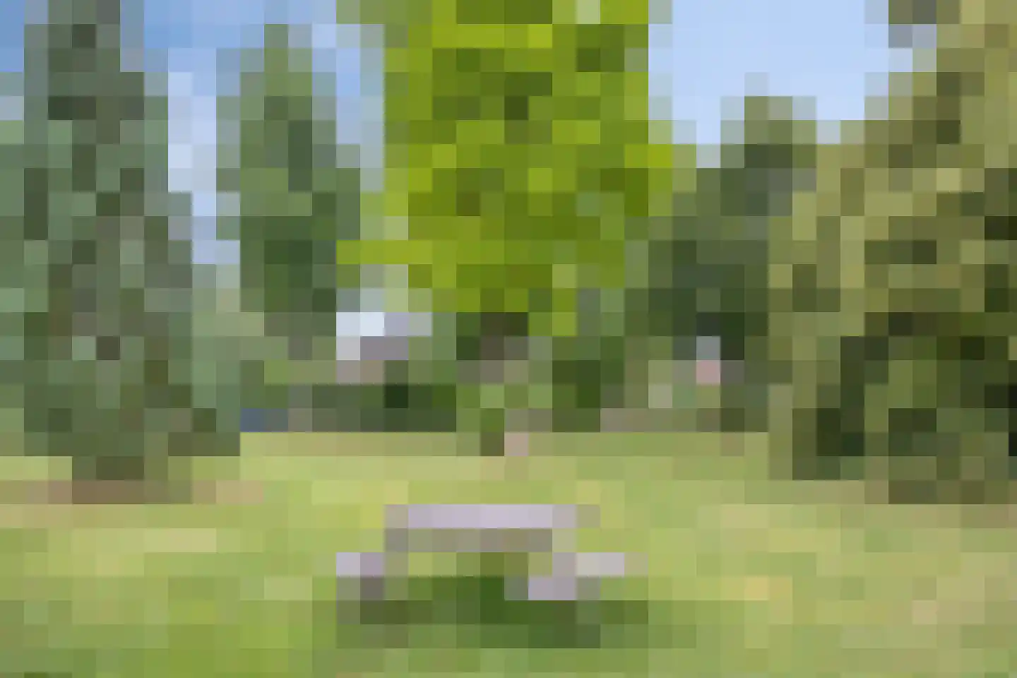 Nieuw-Schoonoord 362 Velp thumbnail 30