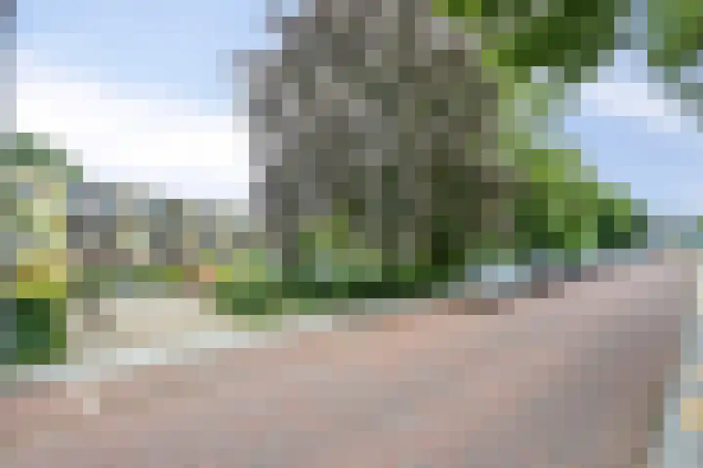 Nieuw-Schoonoord 362 Velp thumbnail 33