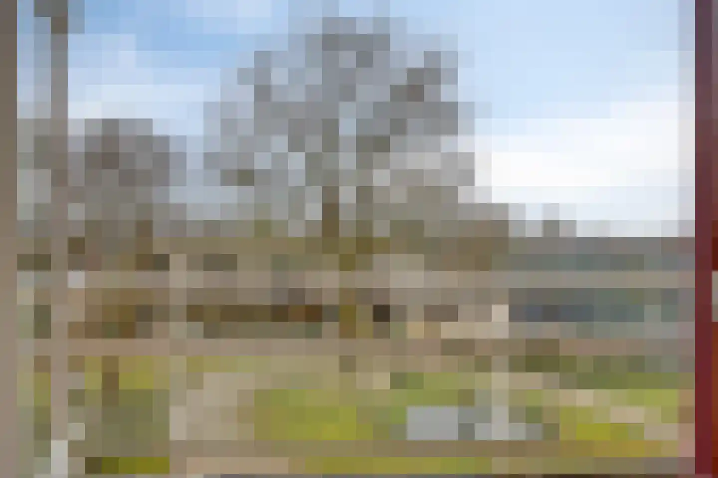 Nieuw-Schoonoord 366 Velp thumbnail 12