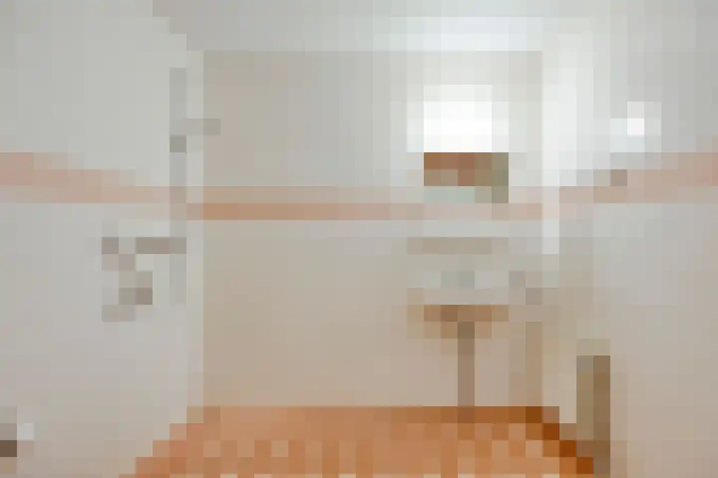 Nieuw-Schoonoord 366 Velp thumbnail 19
