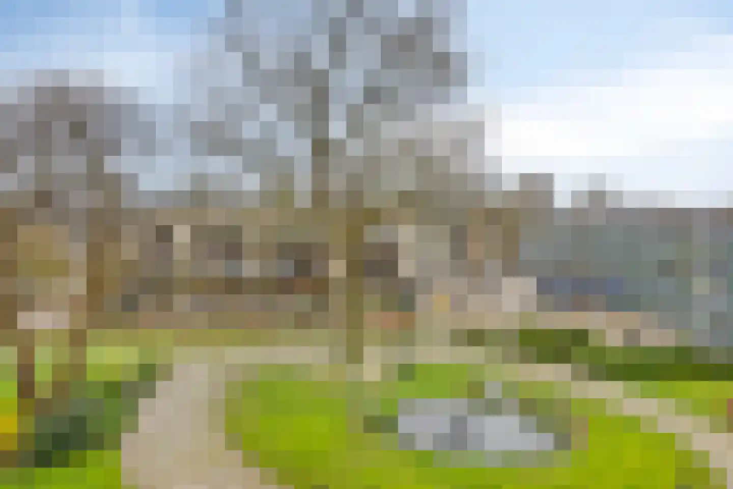 Nieuw-Schoonoord 366 Velp thumbnail 26
