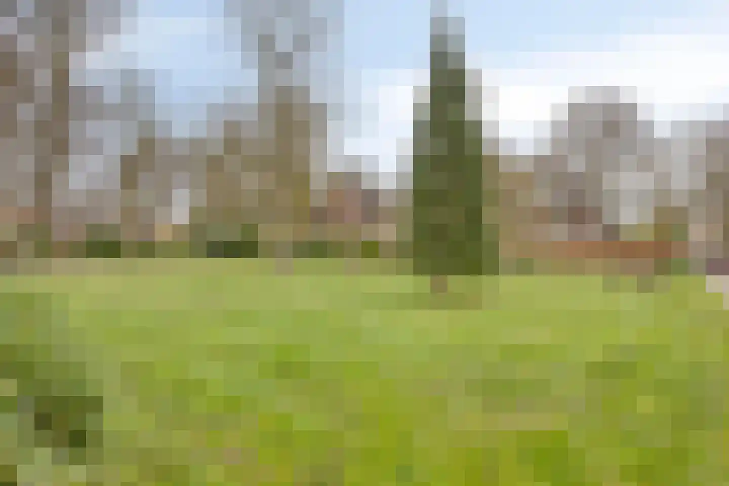 Nieuw-Schoonoord 366 Velp thumbnail 27