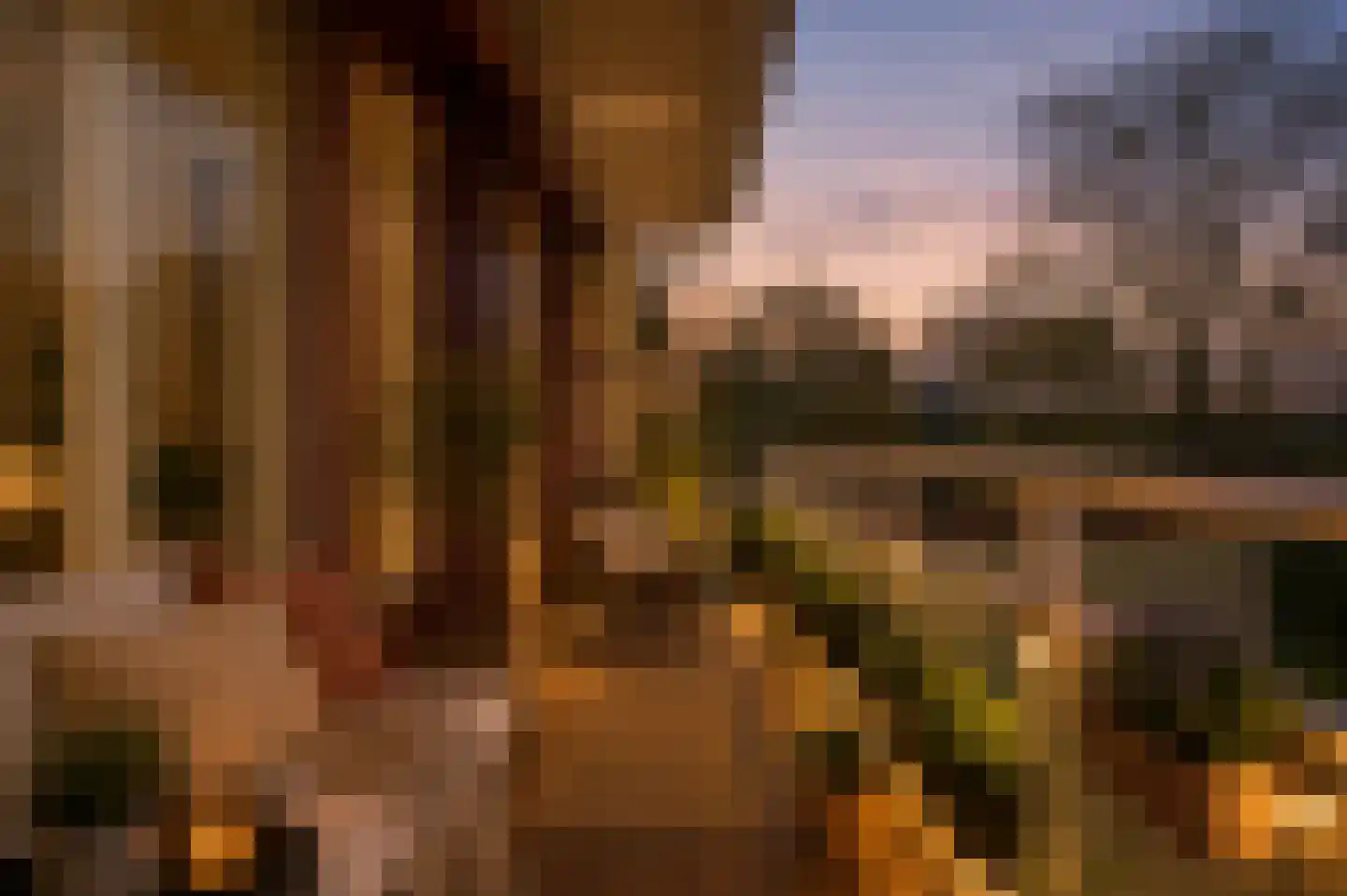 Nieuw-Schoonoord 366 Velp thumbnail 4