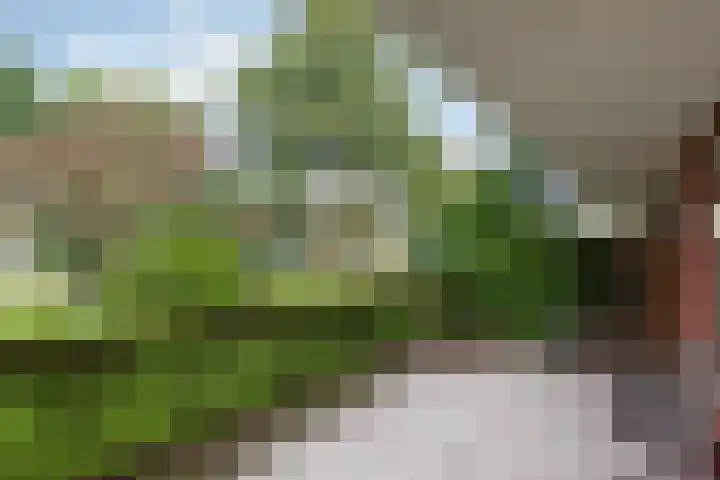 Nieuw-Schoonoord 57 Velp thumbnail 17