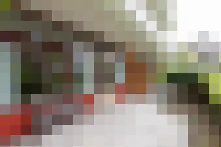 Nieuw-Schoonoord 57 Velp thumbnail 18