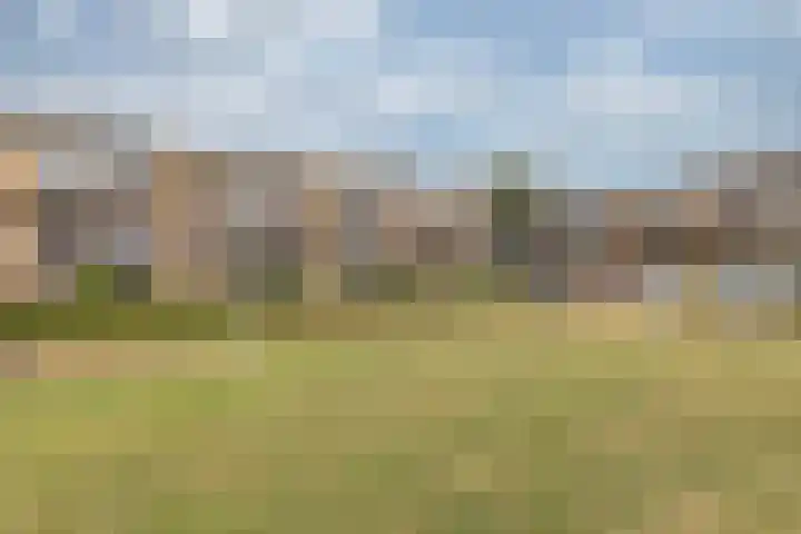 Nieuw-Schoonoord 57 Velp thumbnail 21