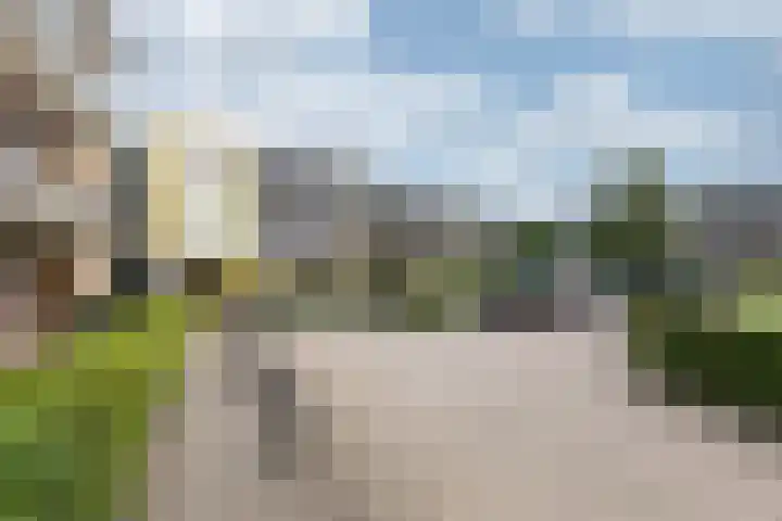 Nieuw-Schoonoord 57 Velp thumbnail 22