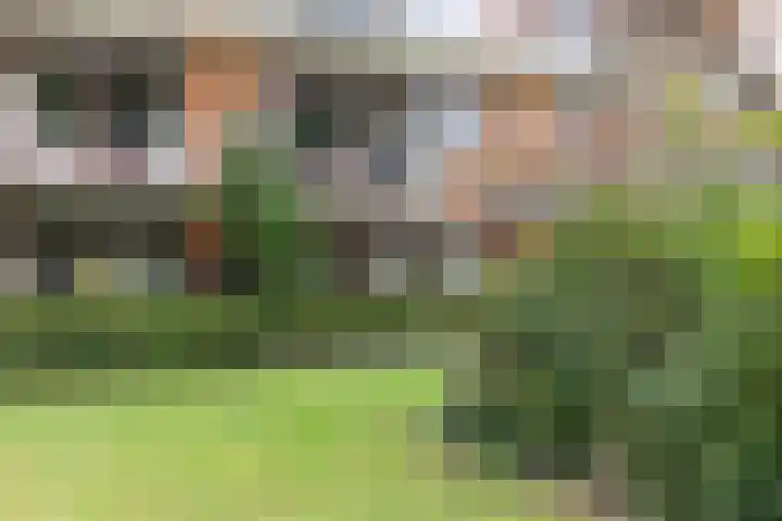 Nieuw-Schoonoord 57 Velp thumbnail 23