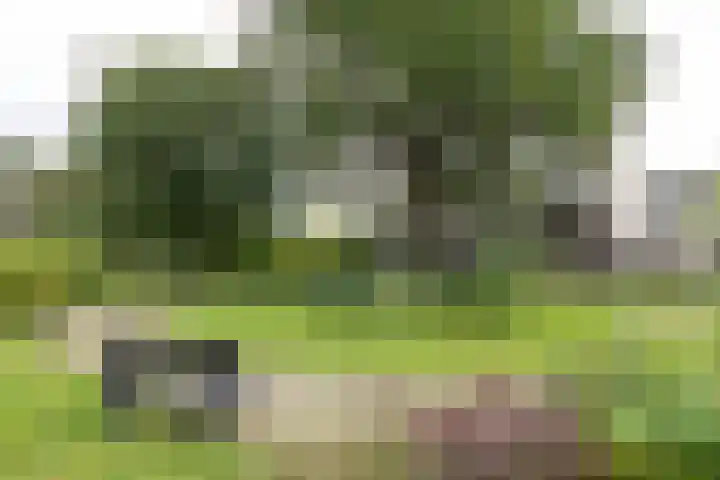 Nieuw-Schoonoord 57 Velp thumbnail 24