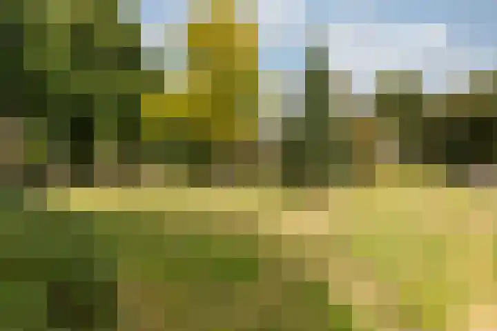 Nieuw-Schoonoord 57 Velp thumbnail 25