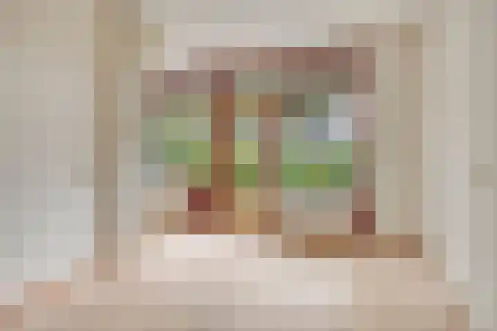 Nieuw-Schoonoord 64 Velp thumbnail 18