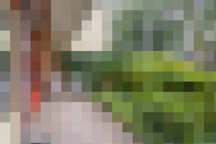 Nieuw-Schoonoord 64 Velp thumbnail 21