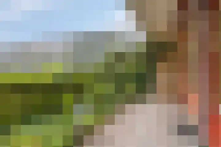 Nieuw-Schoonoord 64 Velp thumbnail 22