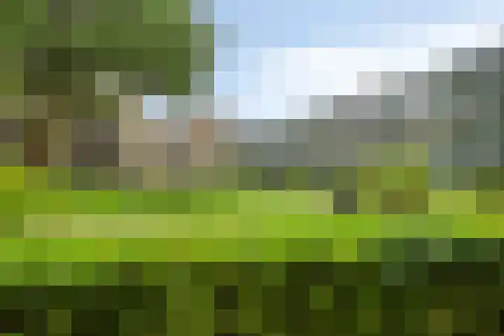 Nieuw-Schoonoord 64 Velp thumbnail 23