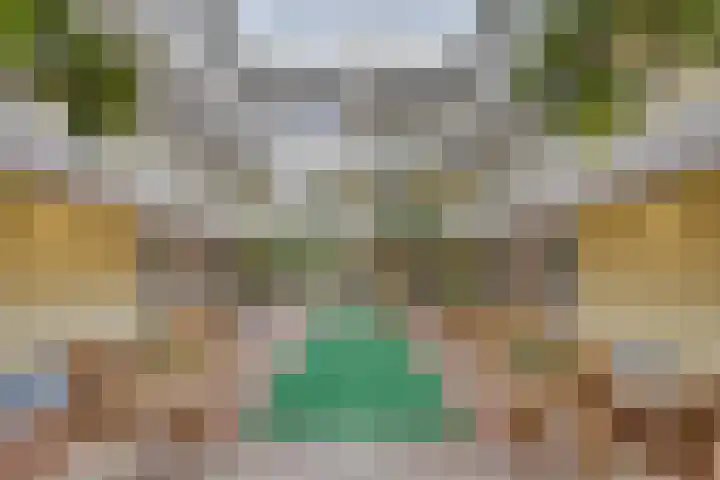 Nieuw-Schoonoord 64 Velp thumbnail 25