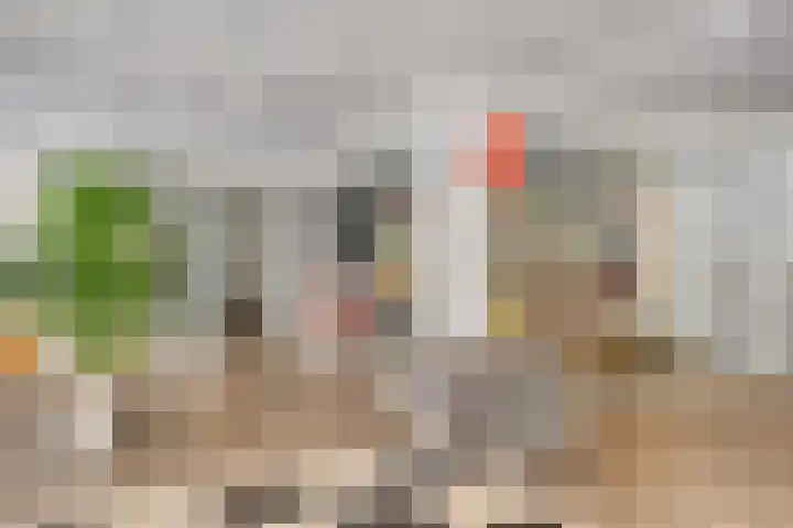 Nieuw-Schoonoord 64 Velp thumbnail 30
