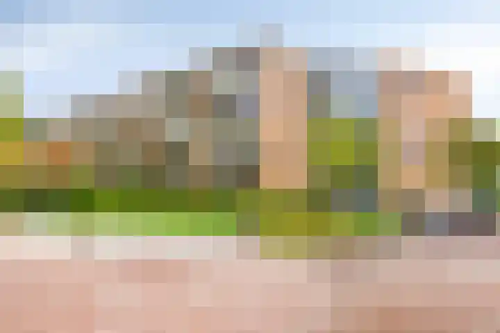 Nieuw-Schoonoord 64 Velp thumbnail 4