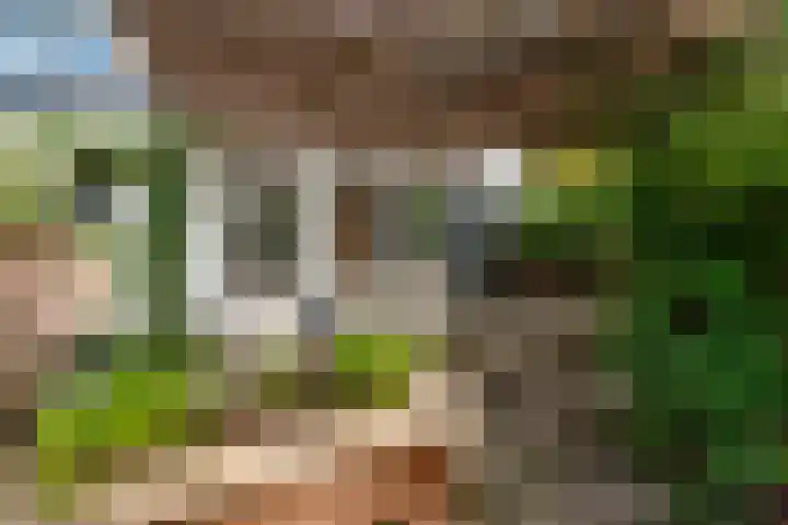 Nieuw Schoonoordstraat 10 Baarn thumbnail 14
