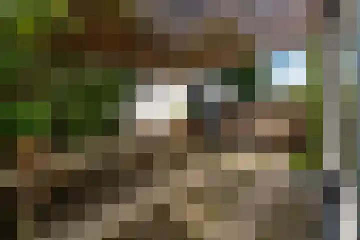 Nieuw Schoonoordstraat 10 Baarn thumbnail 15