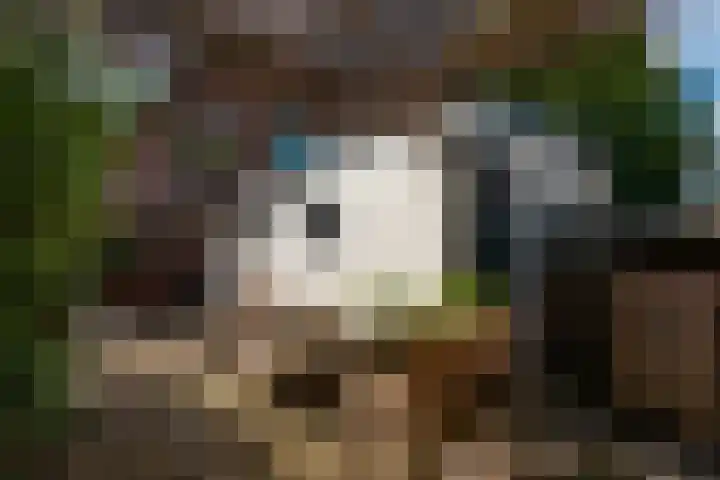 Nieuw Schoonoordstraat 10 Baarn thumbnail 16