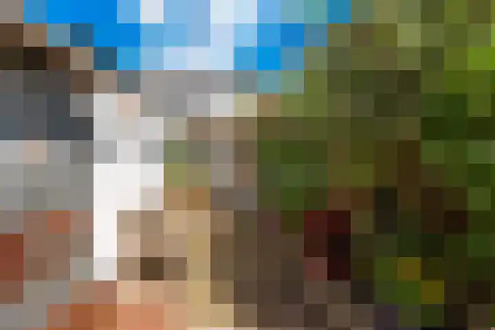 Nieuw Schoonoordstraat 10 Baarn thumbnail 17