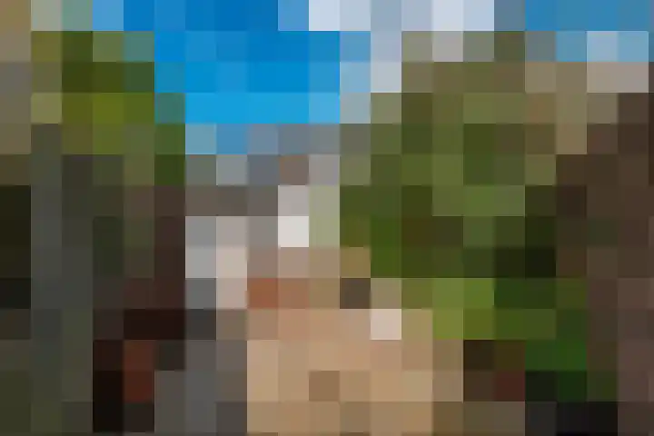 Nieuw Schoonoordstraat 10 Baarn thumbnail 18
