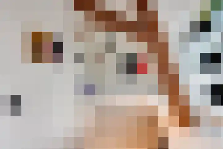 Nieuw Schoonoordstraat 10 Baarn thumbnail 23