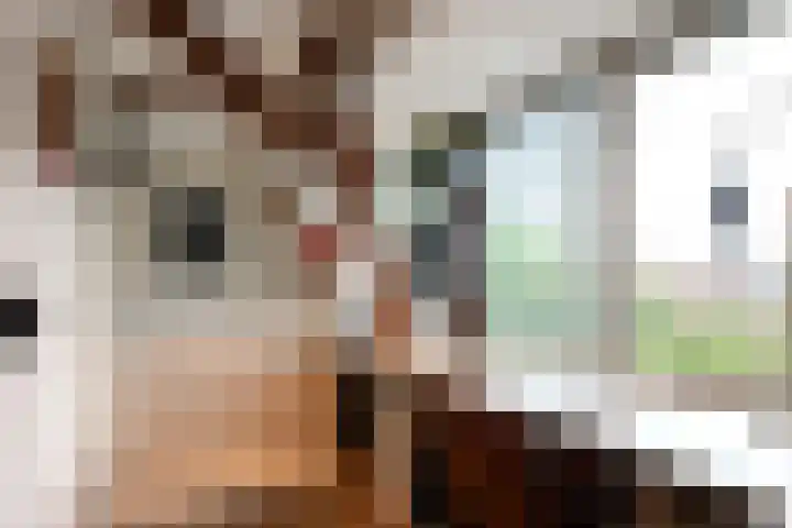 Nieuw Schoonoordstraat 10 Baarn thumbnail 24
