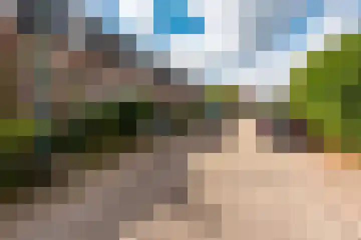 Nieuw Schoonoordstraat 10 Baarn thumbnail 32