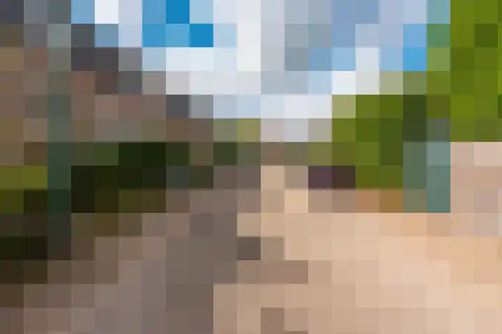Nieuw Schoonoordstraat 10 Baarn thumbnail 33