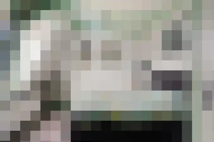 Nieuw Schoonoordstraat 14 Baarn thumbnail 11