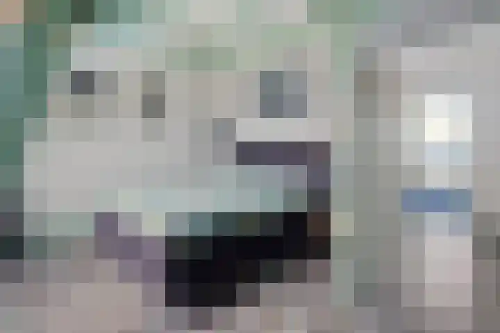 Nieuw Schoonoordstraat 14 Baarn thumbnail 12