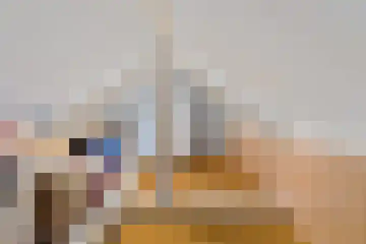 Nieuw Schoonoordstraat 14 Baarn thumbnail 18