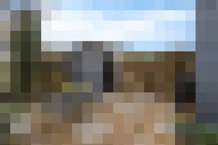 Nieuw Schoonoordstraat 14 Baarn thumbnail 22