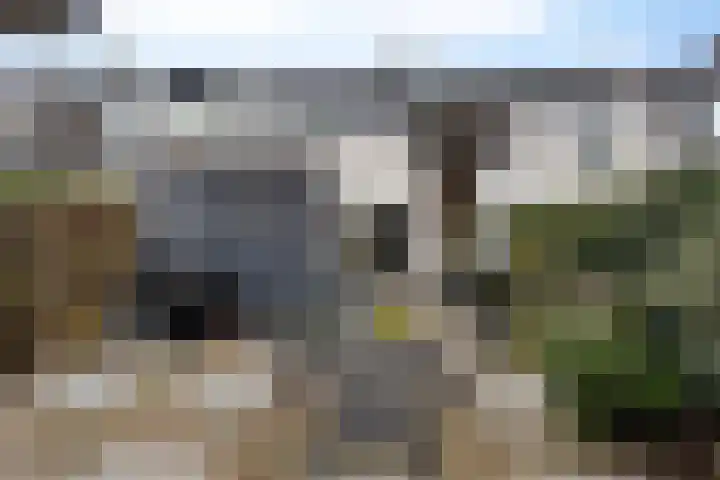 Nieuw Schoonoordstraat 14 Baarn thumbnail 23
