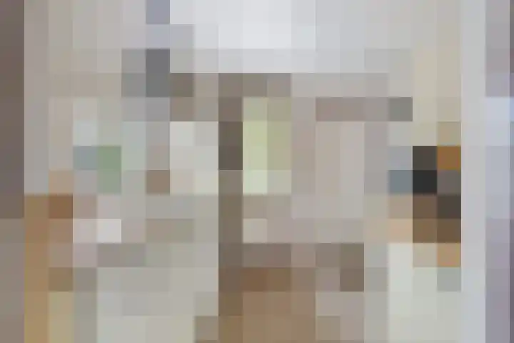 Nieuw Schoonoordstraat 14 Baarn thumbnail 7