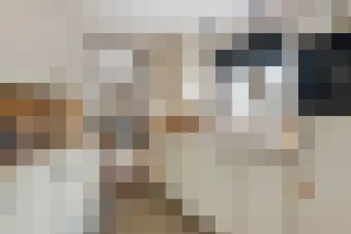Nieuw Schoonoordstraat 14 Baarn thumbnail 9