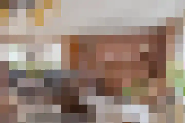 Nieuw Steeg 3 Zelhem thumbnail 10