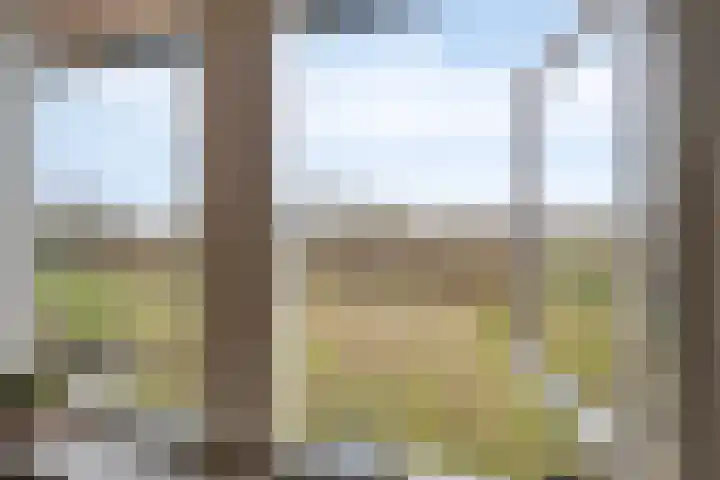 Nieuw Steeg 3 Zelhem thumbnail 15