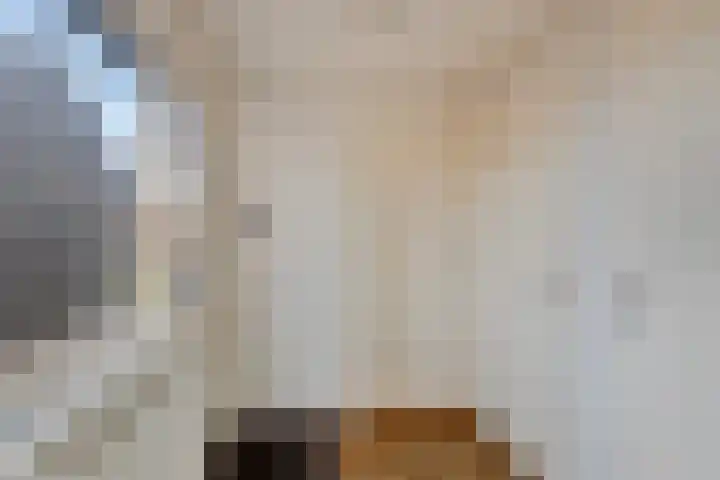 Nieuw Steeg 3 Zelhem thumbnail 16