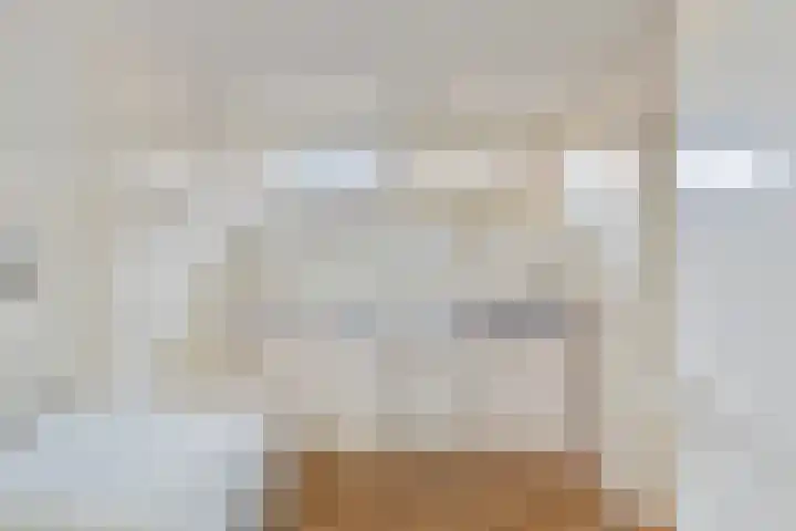 Nieuw Steeg 3 Zelhem thumbnail 18
