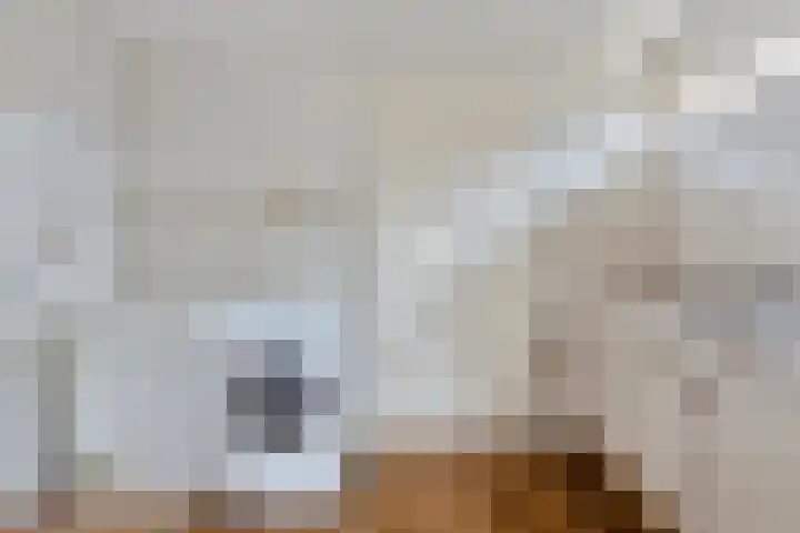 Nieuw Steeg 3 Zelhem thumbnail 19
