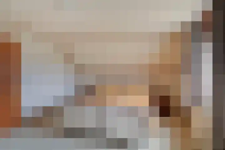 Nieuw Steeg 3 Zelhem thumbnail 24