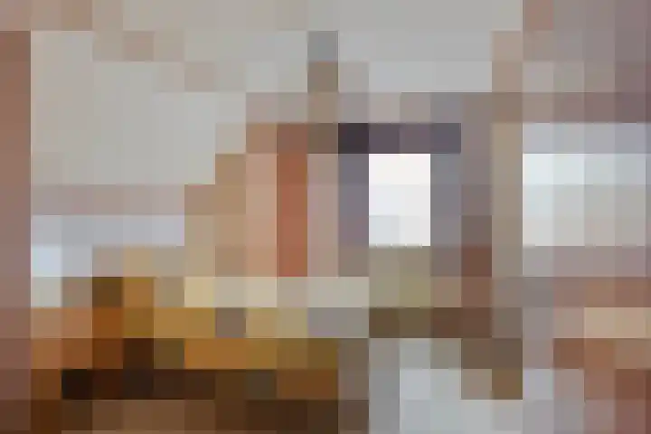Nieuw Steeg 3 Zelhem thumbnail 27