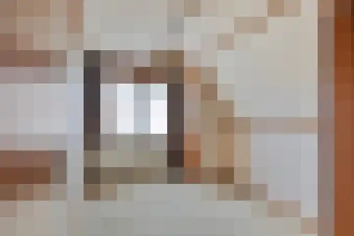 Nieuw Steeg 3 Zelhem thumbnail 28