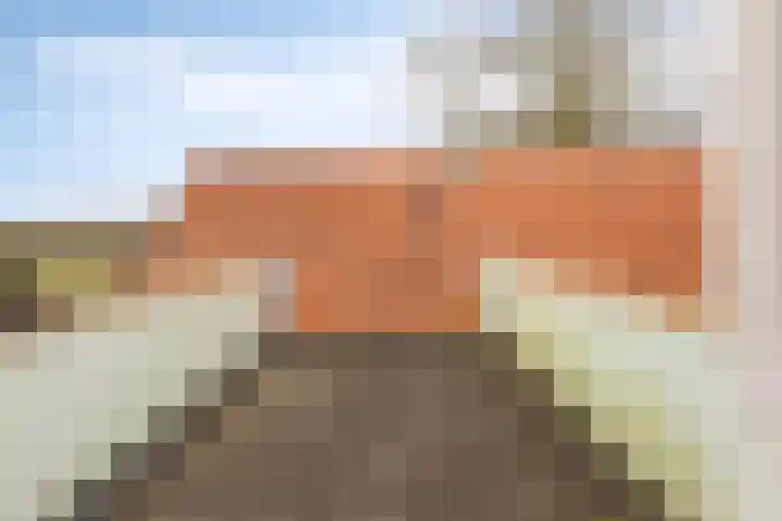 Nieuw Steeg 3 Zelhem thumbnail 30