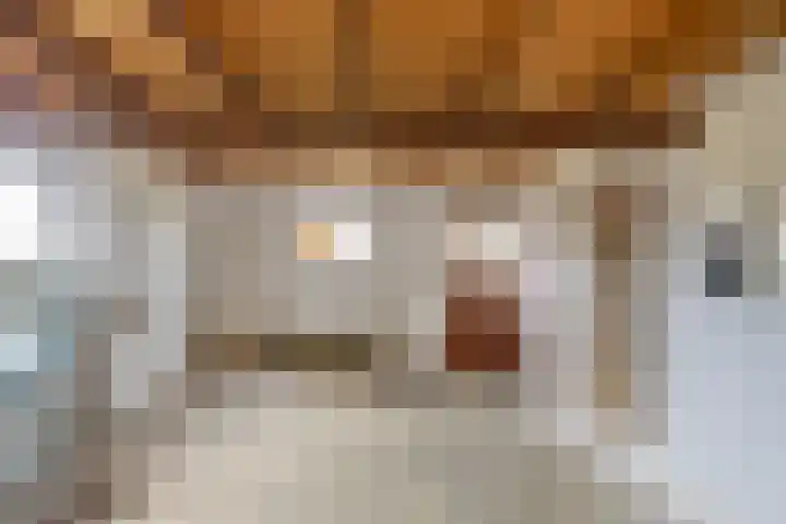Nieuw Steeg 3 Zelhem thumbnail 31